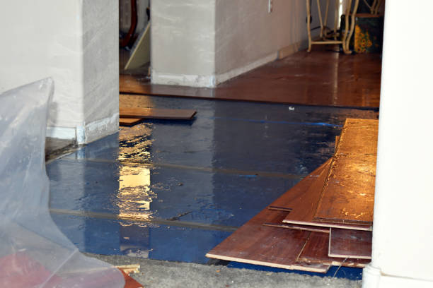 Professional Burst Pipe Cleanup technician working in New Bedford, MA